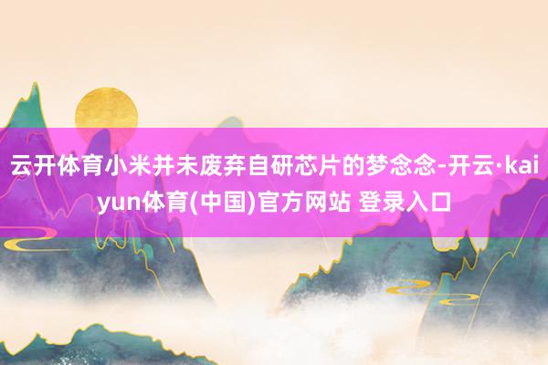 云开体育小米并未废弃自研芯片的梦念念-开云·kaiyun体育(中国)官方网站 登录入口