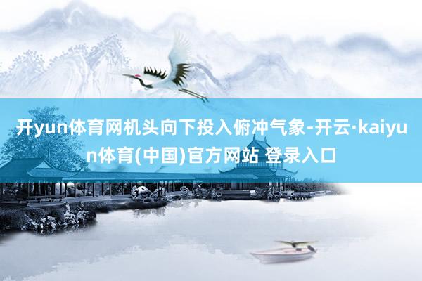 开yun体育网机头向下投入俯冲气象-开云·kaiyun体育(中国)官方网站 登录入口
